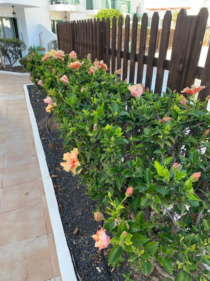 San Valentine Apartment Corralejo Exterior photo